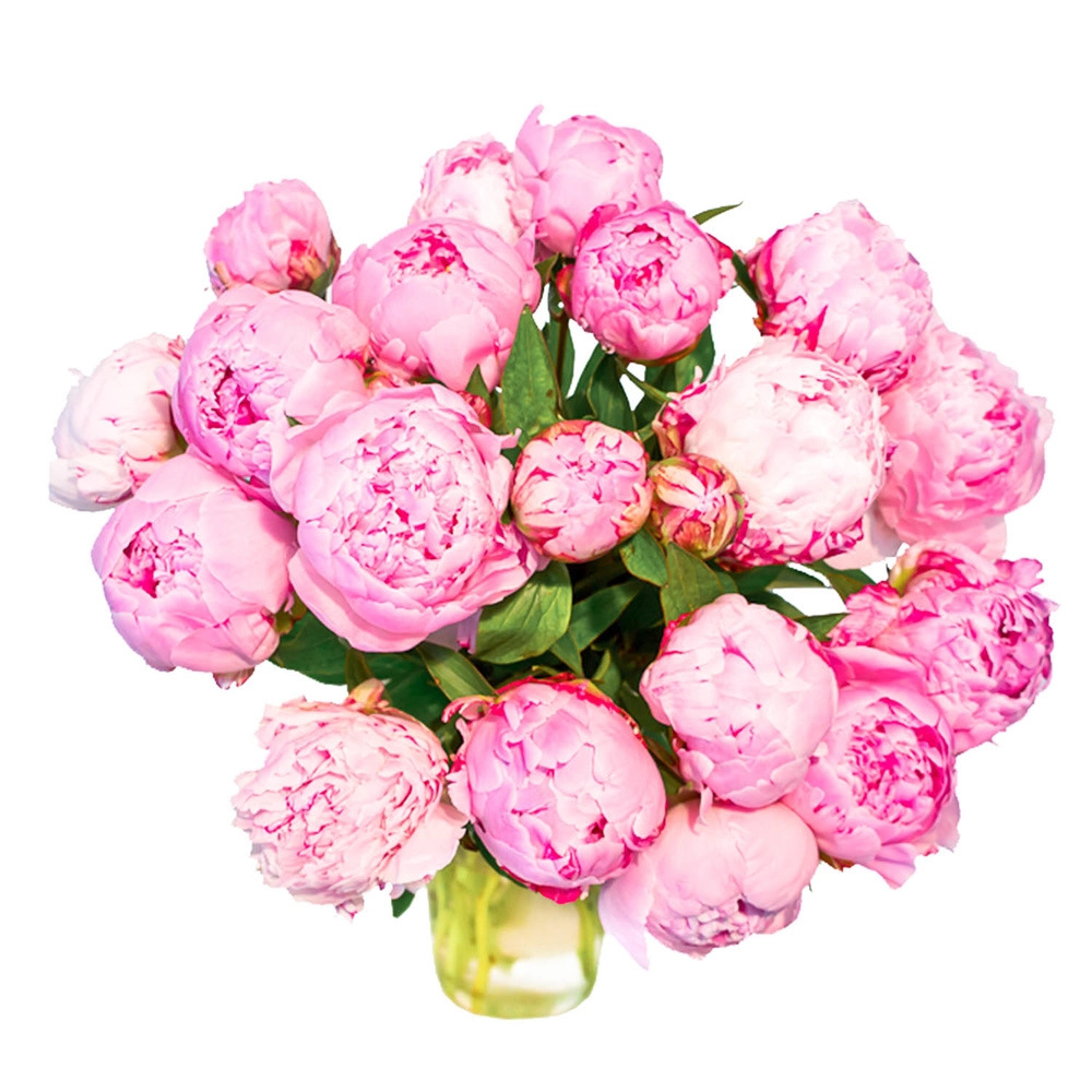 Букет из розовых пионов – нежность в каждом лепестке Агрыз Республика Татарстан